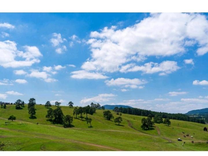 Avantura Studio 1 Zlatibor Eksteriør bilde